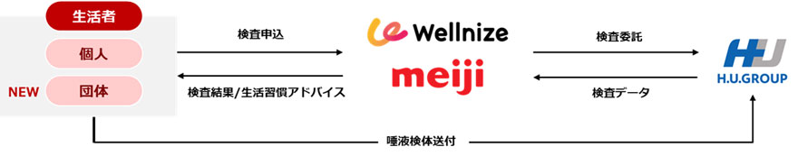 画像：生活者から株式会社Wellnizeを通じてH.U.グループホールディングス株式会社への検査の流れ