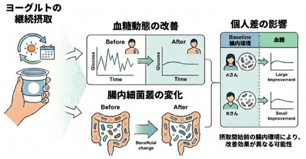 画像：研究成果の概要