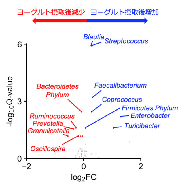 画像：ヨーグルト摂取前後の腸内細菌叢の変化．