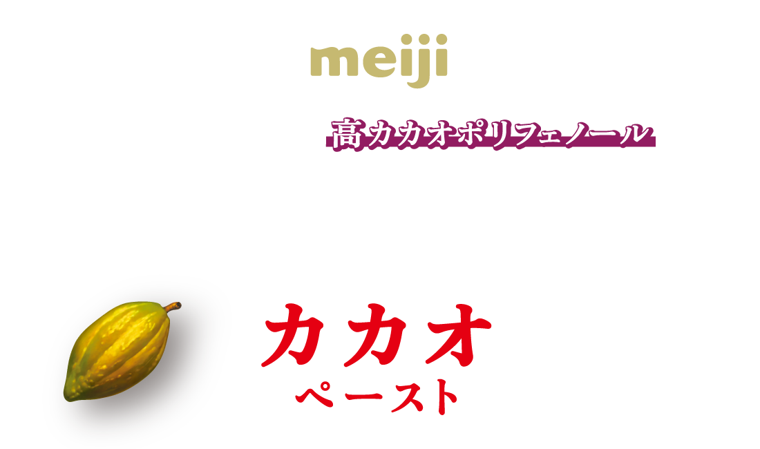 美と健康を考えた、高ポリフェノールチョコレート効果 CACAOペースト