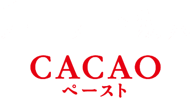 チョコレート効果 CACAO ペースト