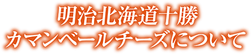 明治北海道十勝カマンベールチーズについて