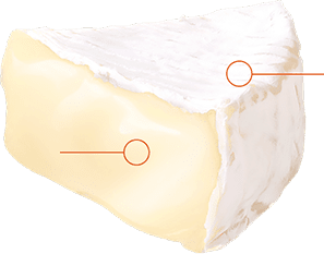 日本人のための究極カマンベールのポイント