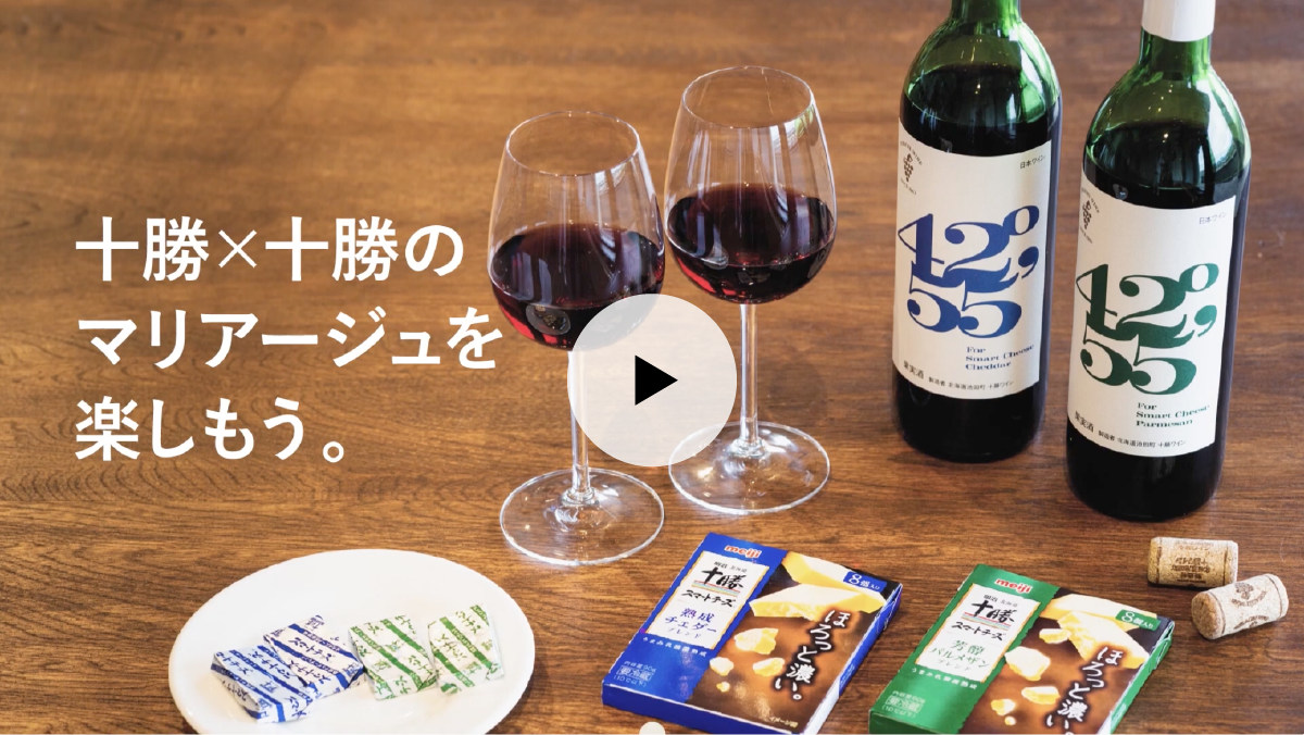 プロジェクトムービー