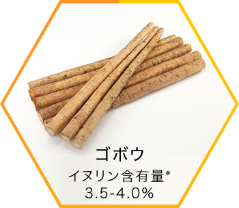 ごぼう イヌリン含有量「5-10％」