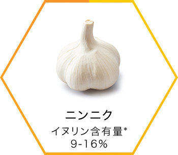 にんにく イヌリン含有量「9-16％」