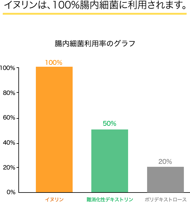 スゴい！その1[イヌリンは、100%腸内細菌に利用されます。]