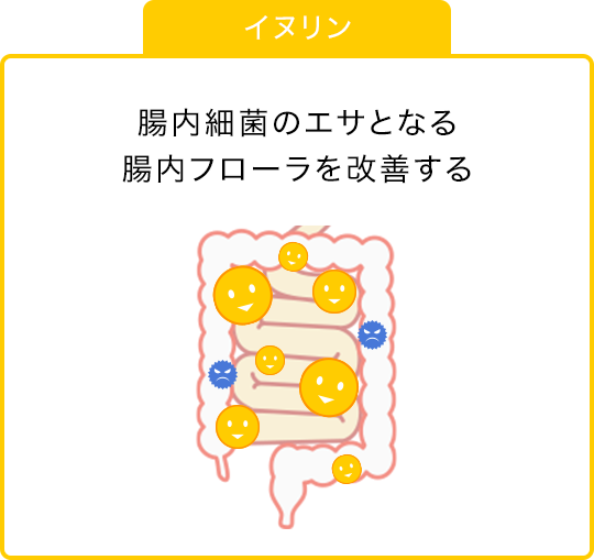 イヌリン：腸内フローラを改善することで、糖・脂質代謝を改善する