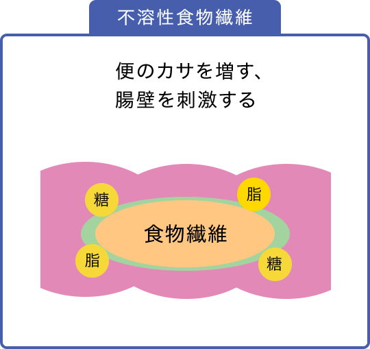 不溶性食物繊維：腸内にて、物理的な吸収の阻害のみで、腸内フローラの改善効果は低い