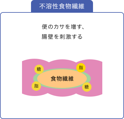 不溶性食物繊維：腸内にて、物理的な吸収の阻害のみで、腸内フローラの改善効果は低い