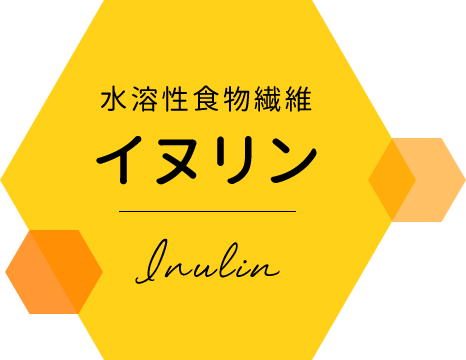 水溶性食物繊維イヌリン[inulin]