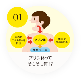 Q1 プリン体ってそもそも何！？