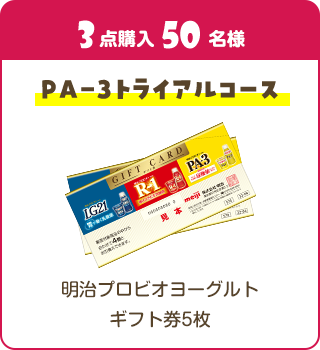 PA-3トライアルコース