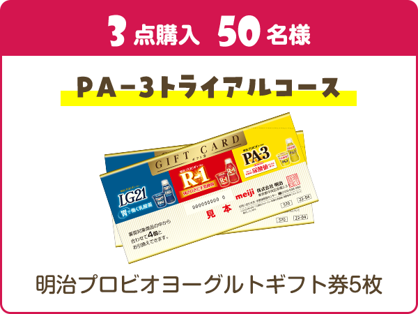 PA-3トライアルコース