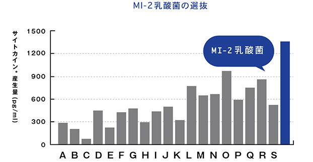 MI-2乳酸菌の選抜