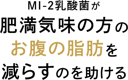 MI-2乳酸菌が肥満気味の方のお腹の脂肪を減らす