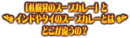 スープカレーとは？