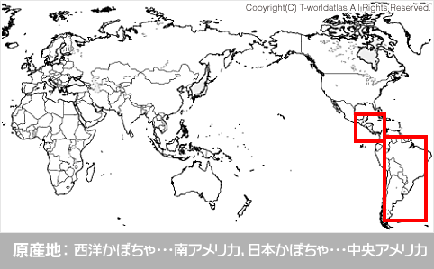 原産地：西洋かぼちゃ・・・南アメリカ、日本かぼちゃ・・・中央アメリカ