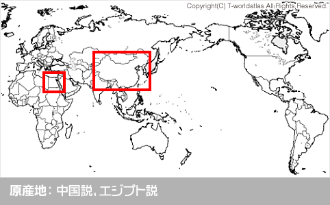 原産地：中国説、エジプト説