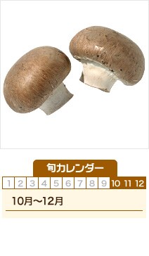 マッシュルーム 野菜辞典 まるごと野菜 株式会社 明治 Meiji Co Ltd