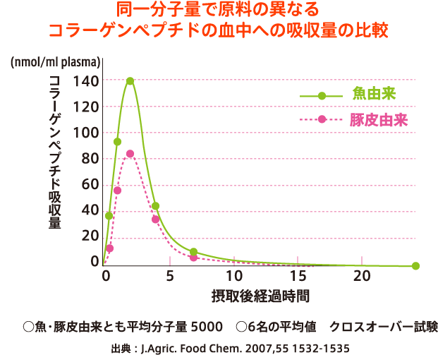 同一分子量で原料の異なるコラーゲンペプチドの血中への吸収量の比較 コラーゲンペプチド吸収量 摂取後経過時間 ○魚・豚皮由来とも平均分子量5000 ○6名の平均値 クロスオーバー試験 出典：J.Agric. Food Chem. 2007,55 1532-1535