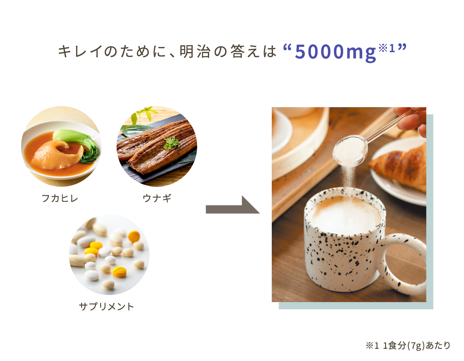 キレイのために、明治の答えは“5000mg※1”。フカヒレ・ウナギ・サプリメントとアミノコラーゲン Ca styles の比較。※1 1食分(7g)あたり