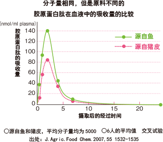 分子量相同，但是原料不同的胶原蛋白肽在血液中的吸收量的比较