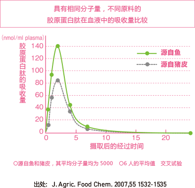 具有相同分子量，不同原料的 胶原蛋白肽在血液中的吸收量比较