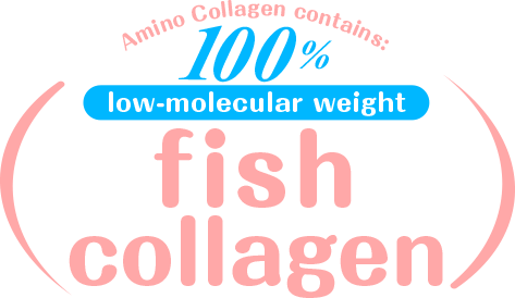 Amino Collagen contains: 100% low-molecular weight fish collagen