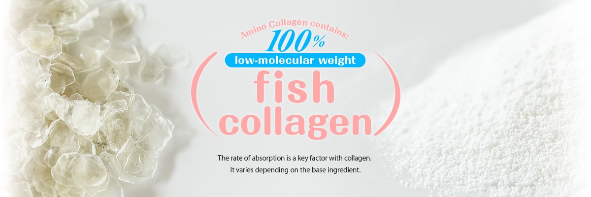 Fish Collagen