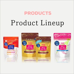 Product Lineup