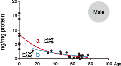 NAD+ levels in the skin Male