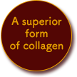 A superior form of collagen