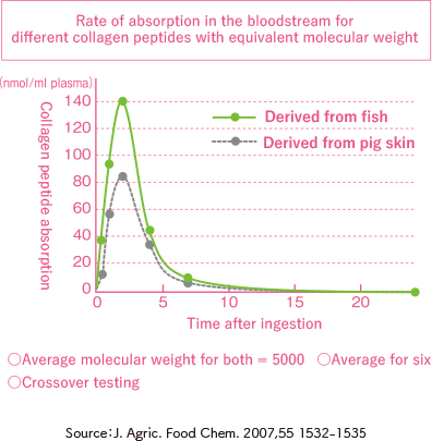 Rate of absorption in the bloodstream for different collagen peptides with equivalent molecular weight