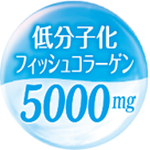 低分子化フィッシュコラーゲン5000mg