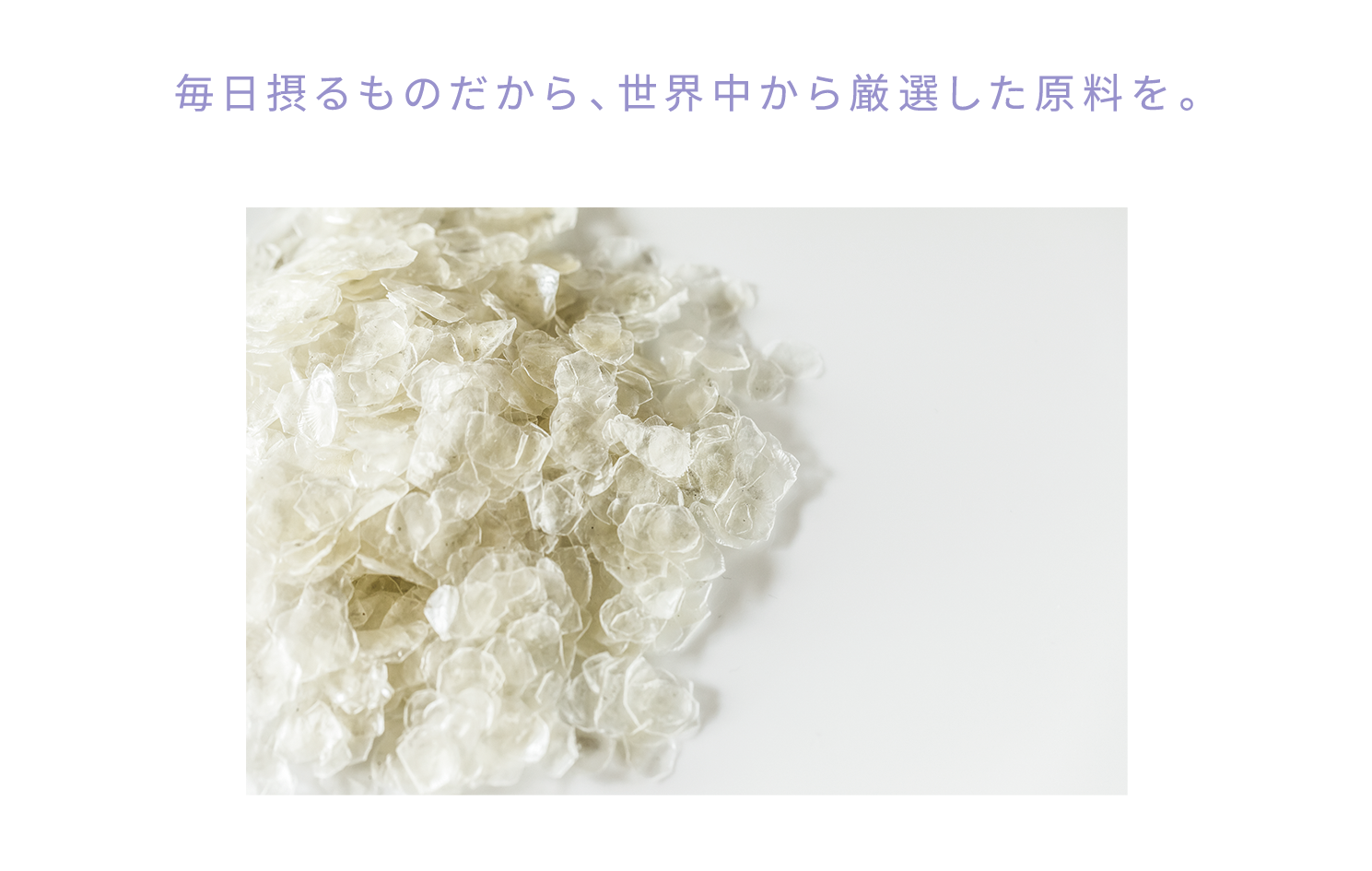毎日摂るものだから、世界中から厳選した原料を。