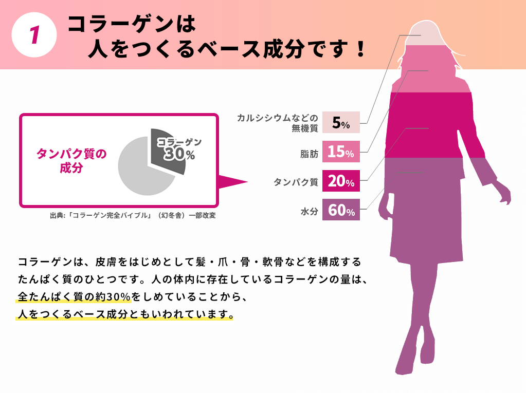 1.コラーゲンは人をつくるベース成分です！コラーゲンは、皮膚をはじめとして髪・爪・骨・軟骨などを構成するたんぱく質のひとつです。人の体内に存在しているコラーゲンの量は、全たんぱく質の約30%をしめていることから、人をつくるベース成分ともいわれています。