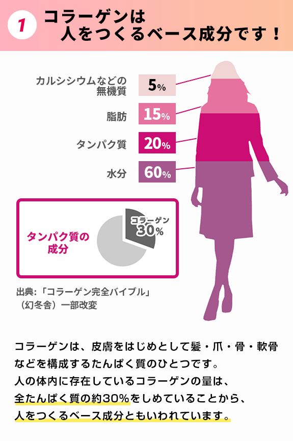 1.コラーゲンは人をつくるベース成分です！コラーゲンは、皮膚をはじめとして髪・爪・骨・軟骨などを構成するたんぱく質のひとつです。人の体内に存在しているコラーゲンの量は、全たんぱく質の約30%をしめていることから、人をつくるベース成分ともいわれています。