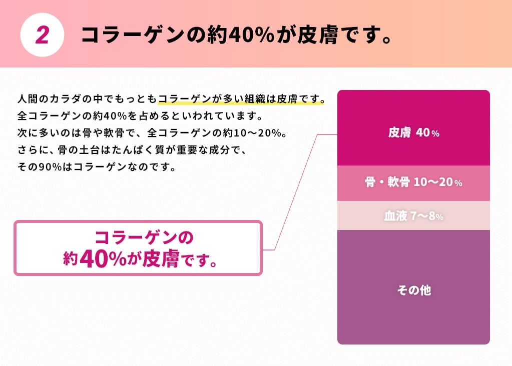 2.コラーゲンの約40%が皮膚です。人間のカラダの中でもっともコラーゲンが多い組織は皮膚です。全コラーゲンの約40%を占めるといわれています。次に多いのは骨や軟骨で、全コラーゲンの約10～20%。さらに、骨の土台はたんぱく質が重要な成分で、その90%はコラーゲンなのです。
