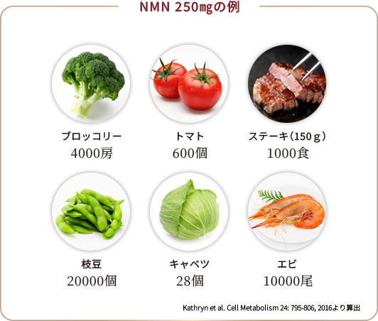 NMN 250㎎の例