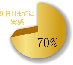 9日目までに実感