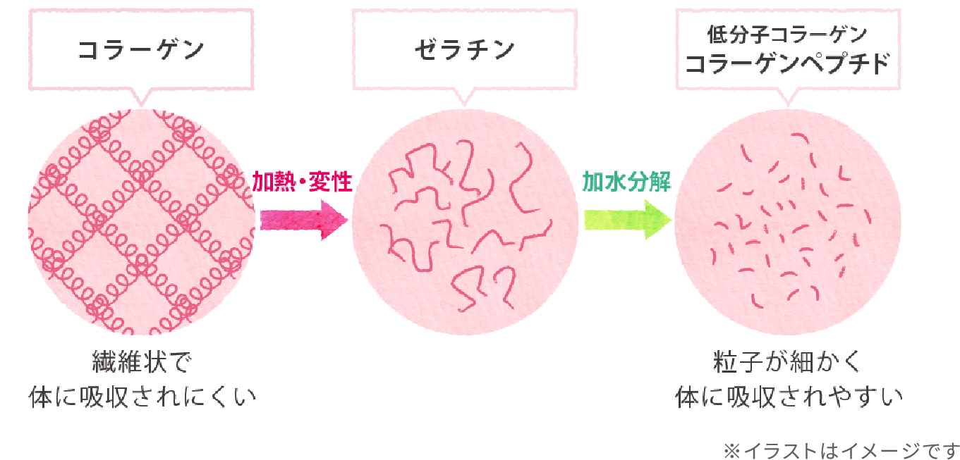 専門医に聞く｜素敵つづくサロン アミノコラーゲン｜アミノコラーゲン 