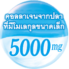 คอลลาเจนจากปลา ที่มีโมเลกุลขนาดเล็ก 5000 mg.