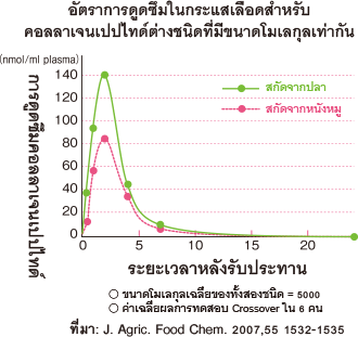 อัตราการดูดซึมในกระแสเลือดสำหรับ คอลลาเจนเปปไทด์ต่างชนิดที่มีขนาดโมเลกุลเท่ากัน