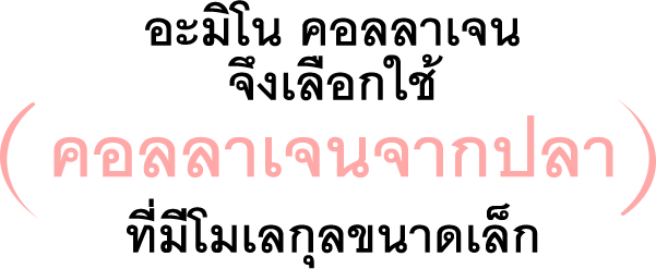 อะมิโน คอลลาเจน จึงเลือกใช้ คอลลาเจนจากปลา ที่มีโมเลกุลขนาดเล็ก