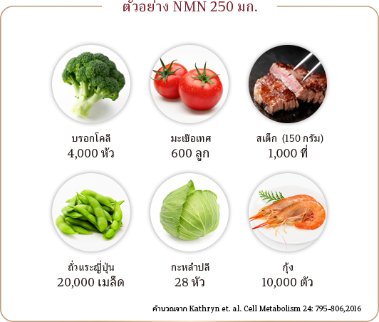 ตัวอย่าง NMN 250 มก.