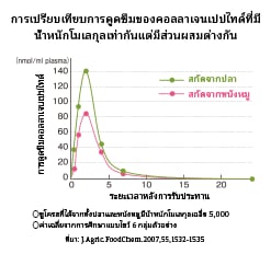 การเปรียบเทียบการดูดซึมของคอลลาเจนเปปไทด์ที่มี ขนาดโมเลกุลเท่ากันแต่มีส่วนผสมต่างกัน