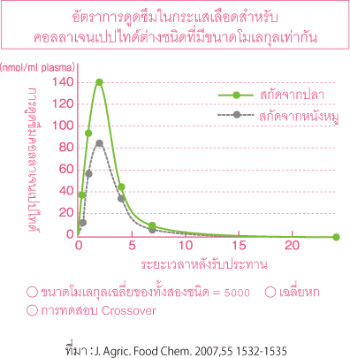 อัตราการดูดซึมในกระแสเลือดสำหรับ คอลลาเจนเปปไทด์ต่างชนิดที่มีขนาดโมเลกุลเท่ากัน