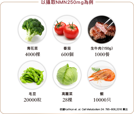以攝取NMN250mg為例
