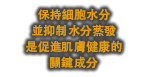 保持細胞水分並 抑制水分蒸發 促進肌膚健康，關鍵部位的皮膚